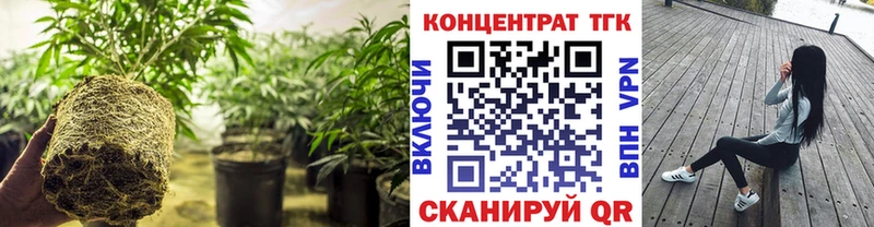 Дистиллят ТГК Wax  Купить  Котлас 
