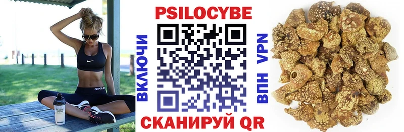 Псилоцибиновые грибы Psilocybine cubensis  Купить закладки  Котлас 